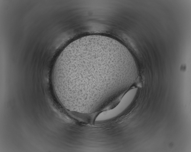 X0000092080539200710101042