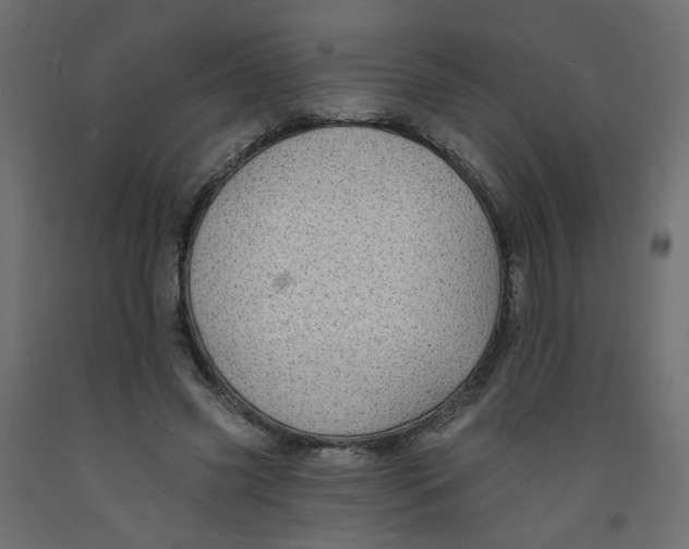 X0000092080541200710101042