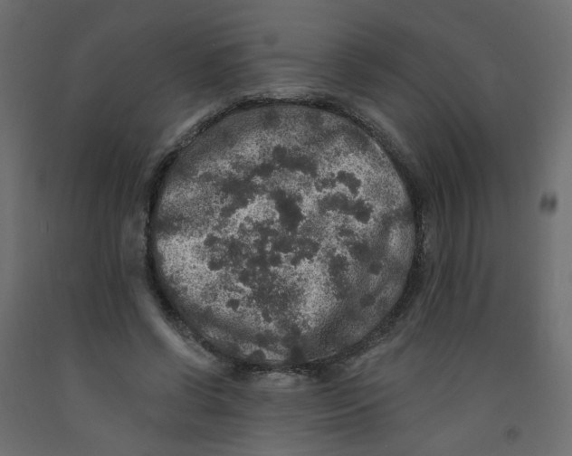 X0000092080542200710101042