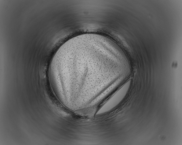 X0000092080543200710101042