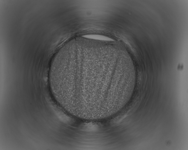 X0000092080545200710101042