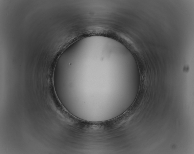 X0000092080546200710101042