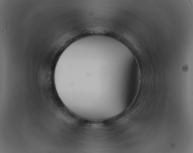 X0000092080548200710101042