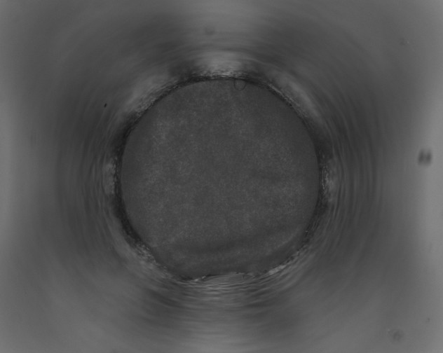 X0000092080551200710101042