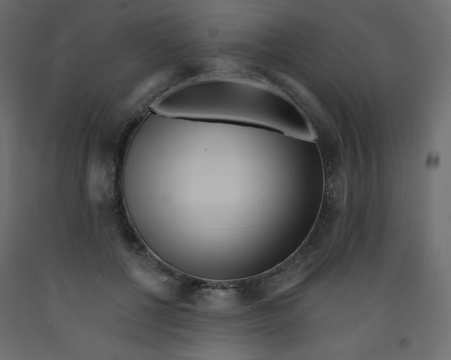 X0000092080552200710101042