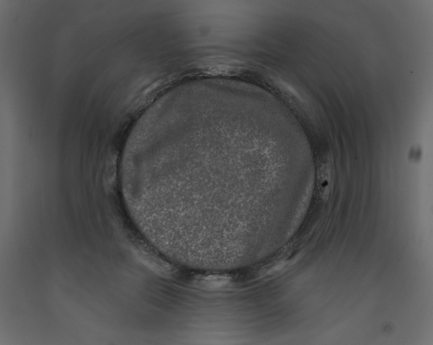 X0000092080554200710101042