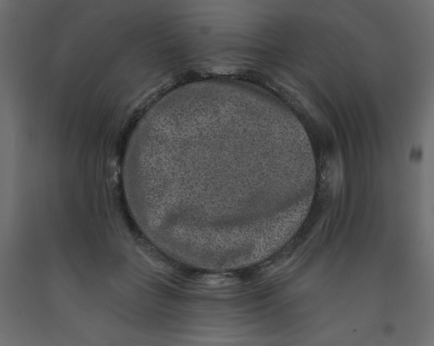 X0000092080555200710101042