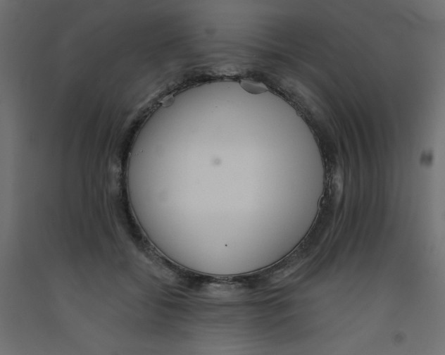 X0000092080556200710101042