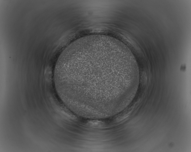 X0000092080557200710101042