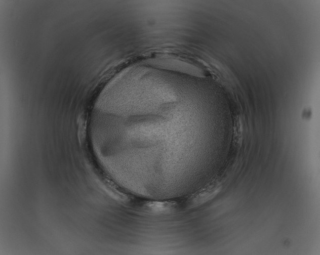 X0000092080558200710101042