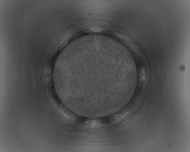 X0000092080559200710101042