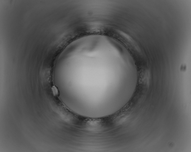 X0000092080560200710101042