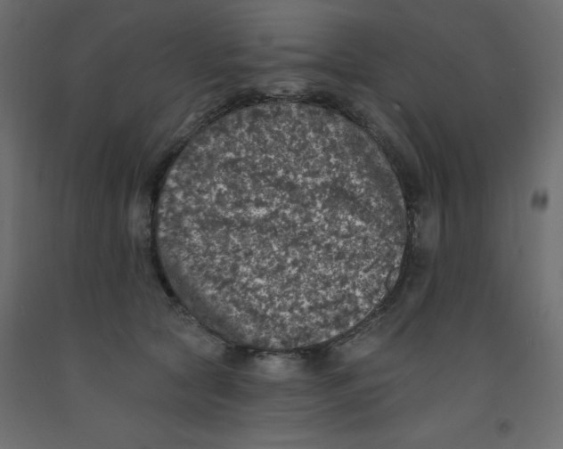 X0000092080561200710101042