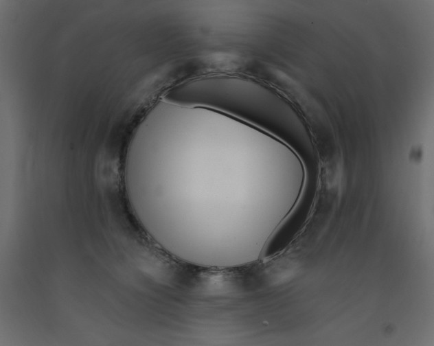 X0000092080564200710101043