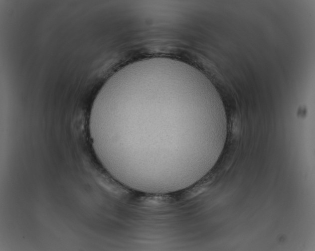 X0000092080567200710101043