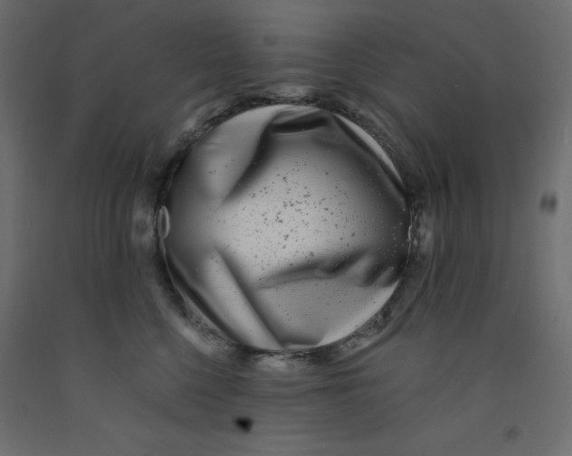 X0000092080568200710101043