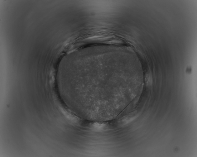 X0000092080570200710101043