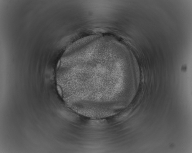 X0000092080571200710101043