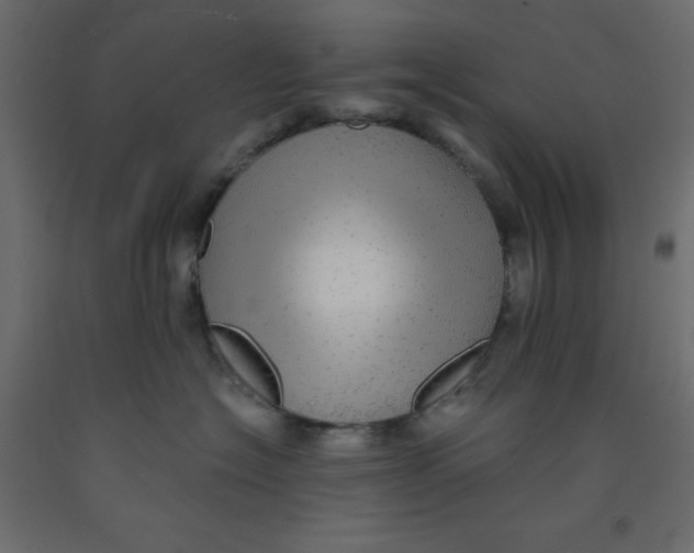 X0000092080574200710101043