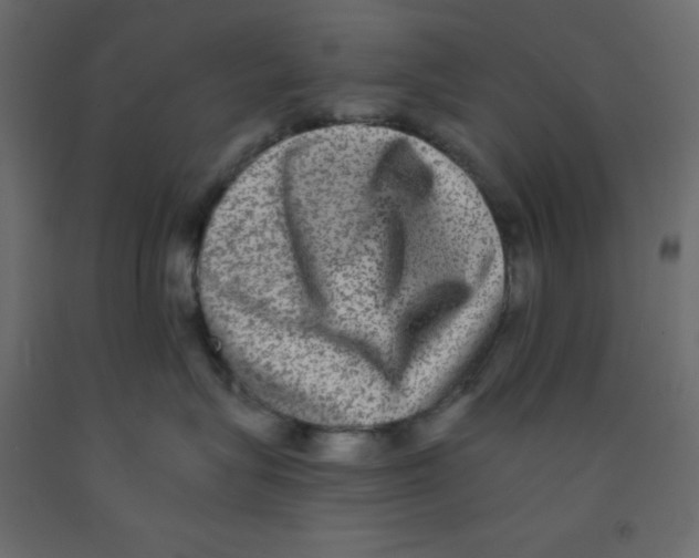 X0000092080575200710101043