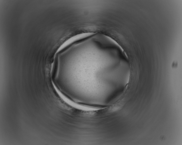 X0000092080576200710101043