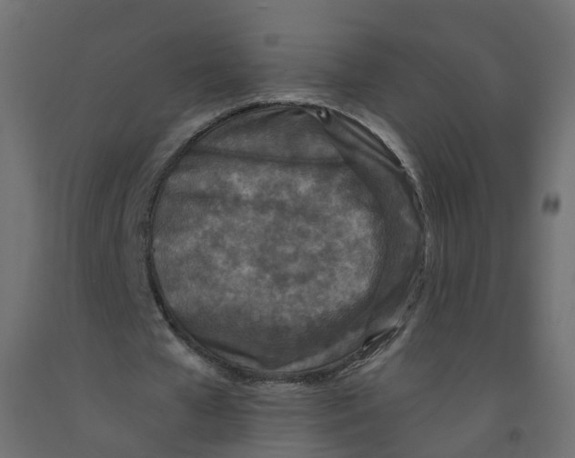 X0000092080577200710101042