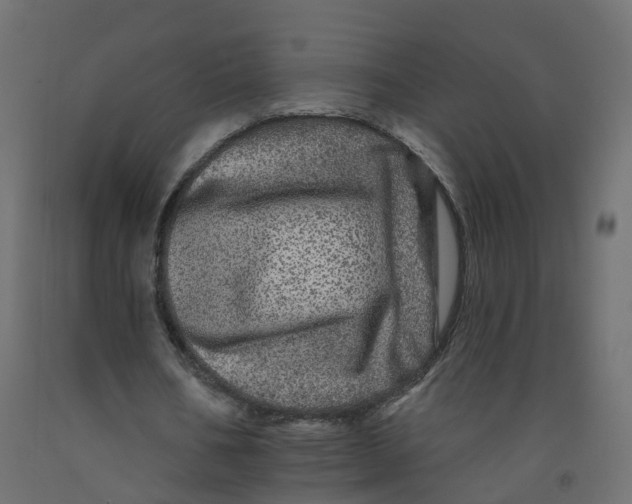 X0000092080578200710101042