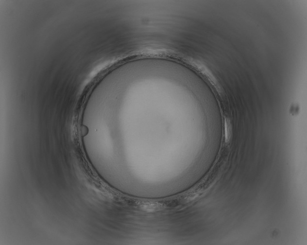 X0000092080579200710101042