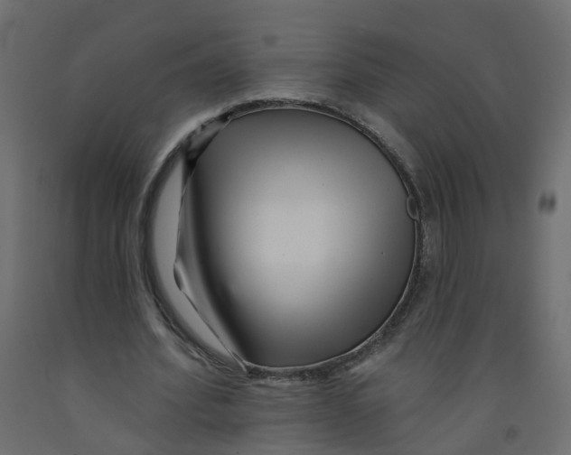 X0000092080580200710101042