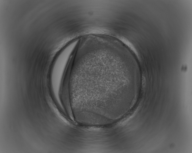 X0000092080581200710101042