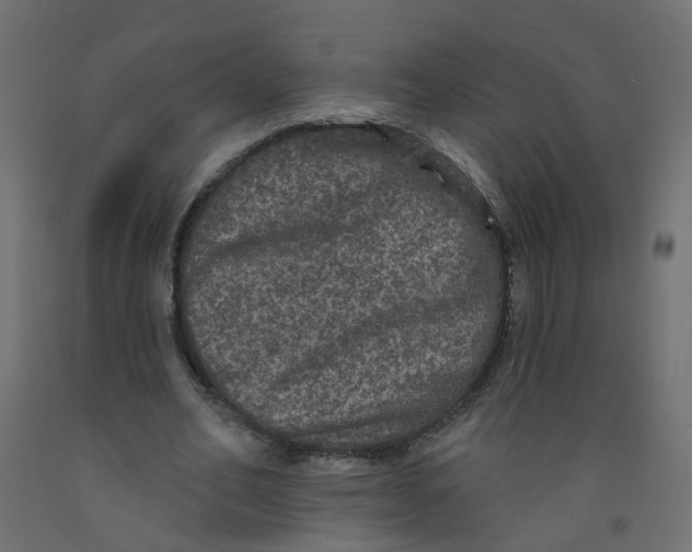 X0000092080582200710101042