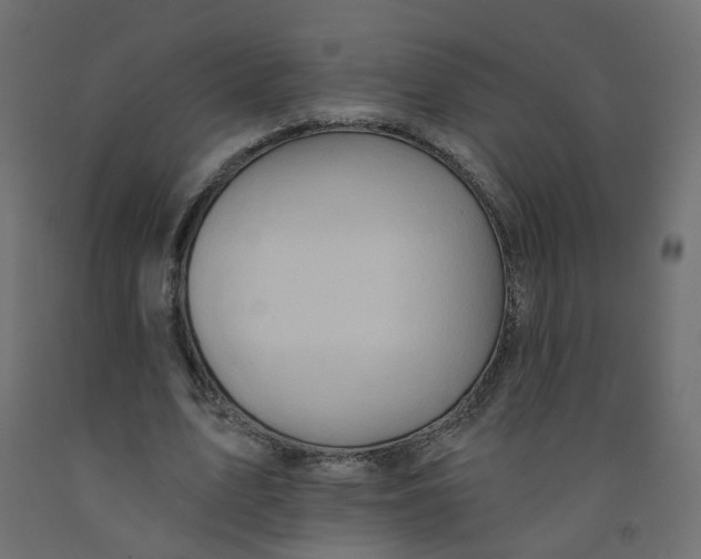 X0000092080583200710101042