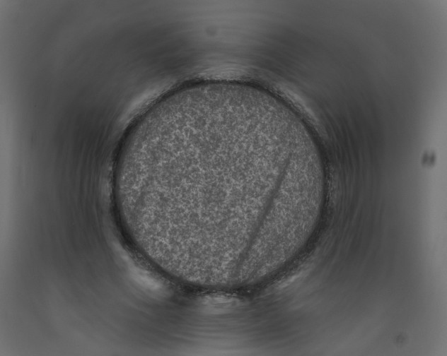 X0000092080586200710101042