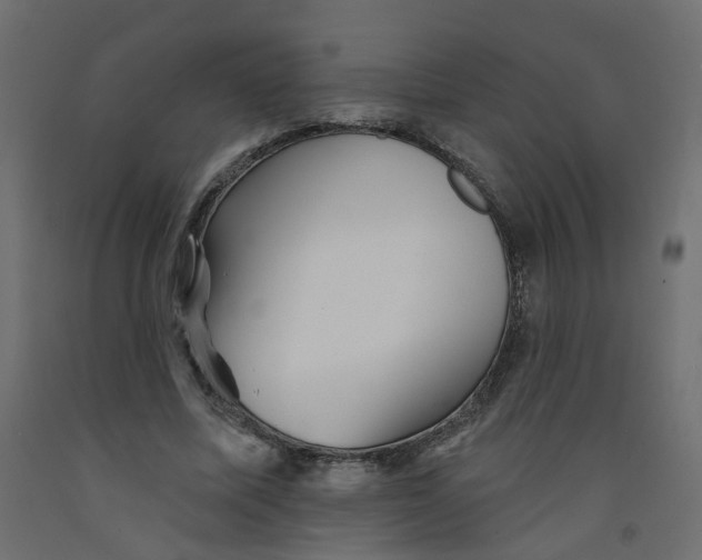 X0000092080587200710101042