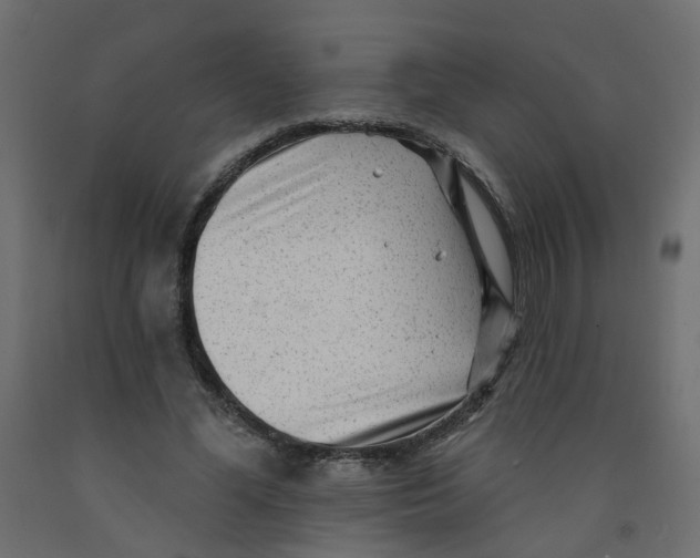 X0000092080588200710101042