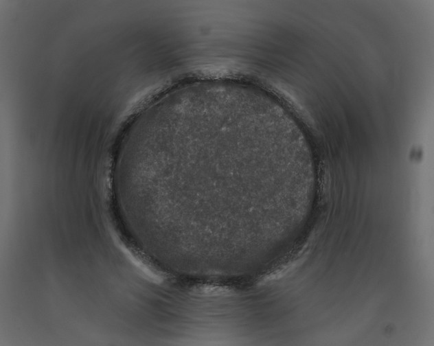 X0000092080590200710101042