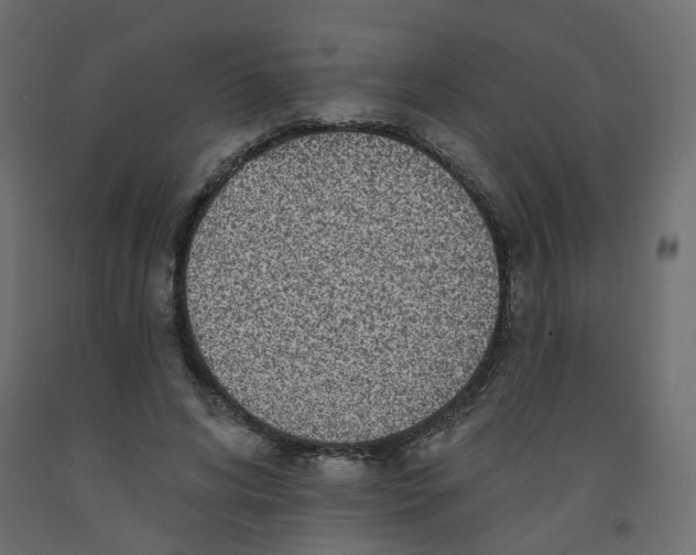 X0000092080592200710101042