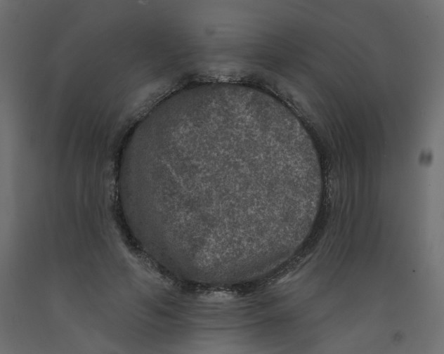 X0000092080594200710101042