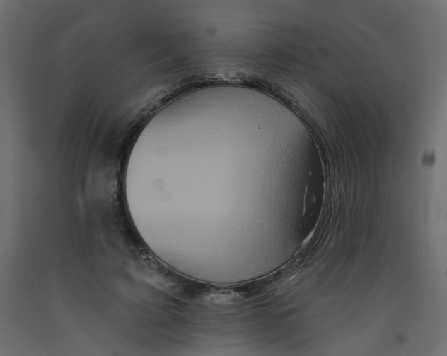 X0000092080595200710101042