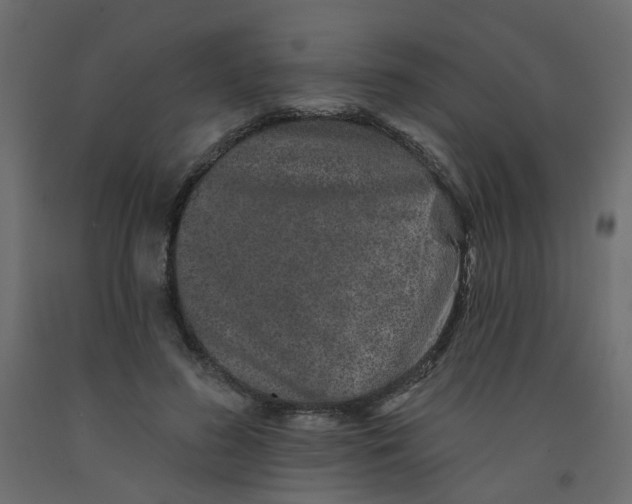 X0000092080596200710101042