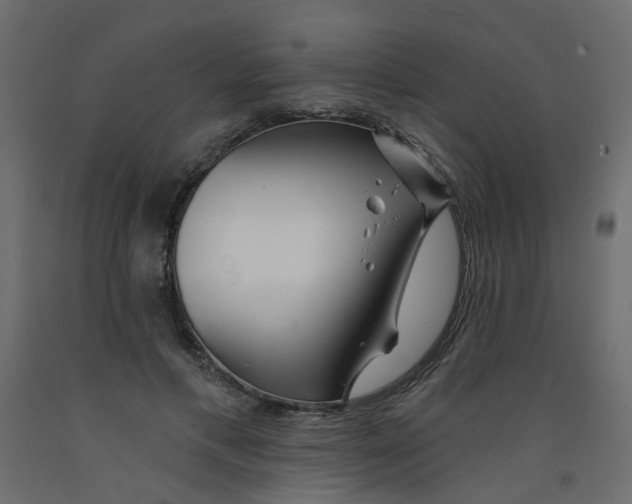 X0000092080597200710101042