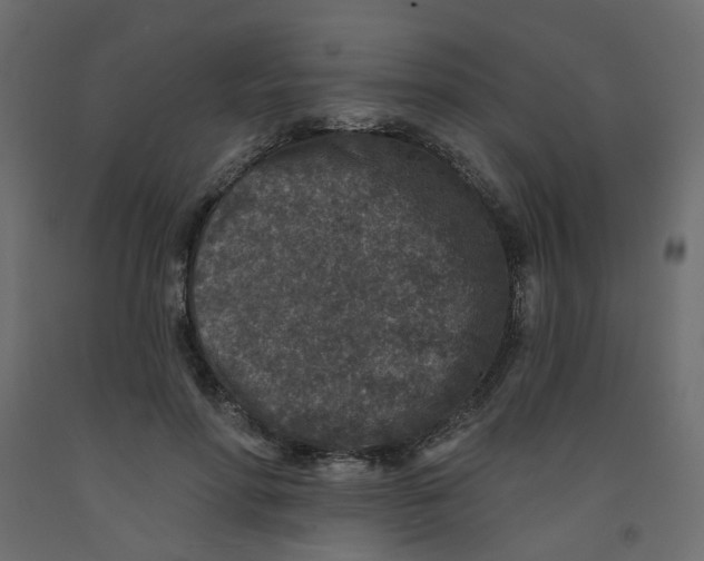 X0000092080598200710101042