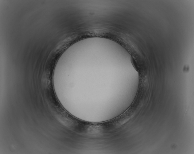 X0000092080599200710101042