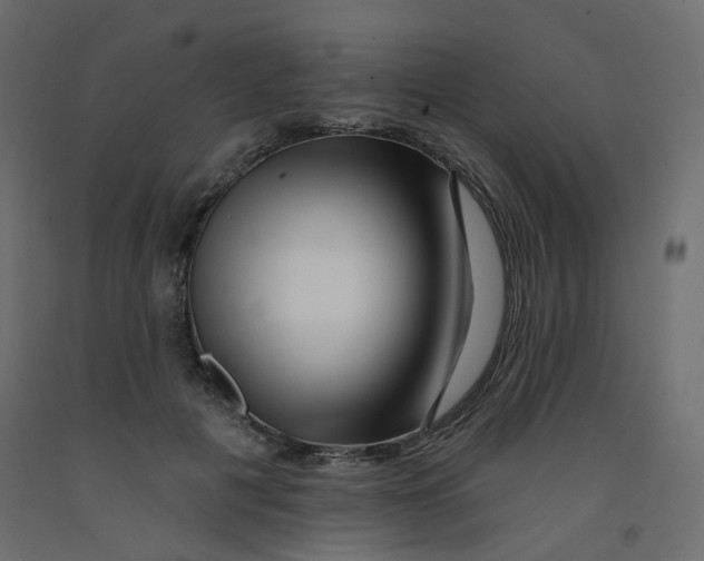 X0000092080601200710101042