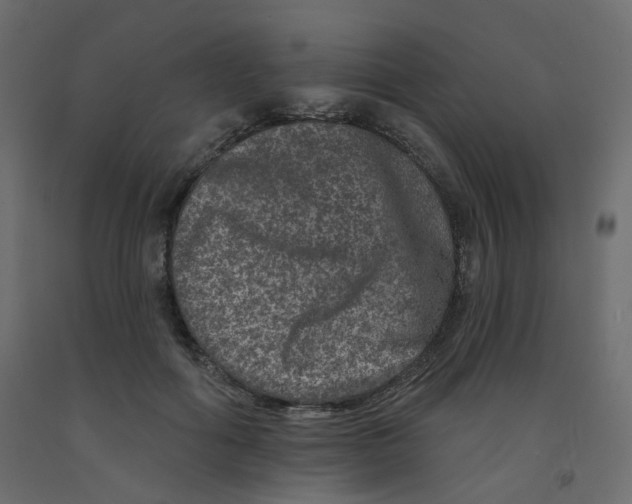 X0000092080602200710101042