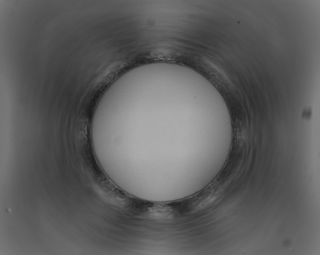 X0000092080603200710101042