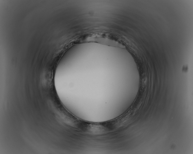 X0000092080605200710101042