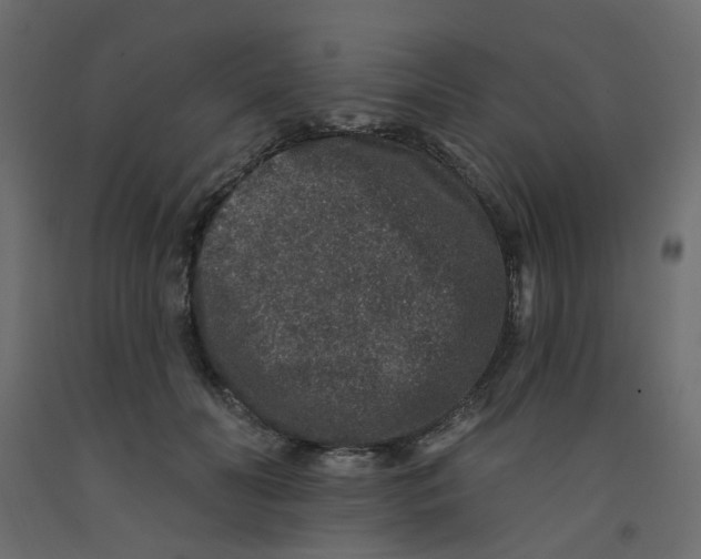 X0000092080606200710101042