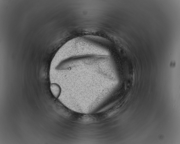 X0000092080608200710101042