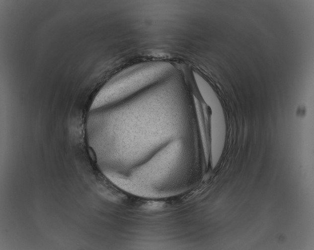 X0000092080609200710101042